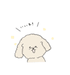 ●○トイプードル【よく使う言葉】○●（個別スタンプ：34）