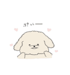 ●○トイプードル【よく使う言葉】○●（個別スタンプ：37）