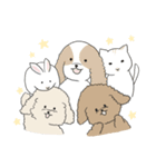 ●○トイプードル【よく使う言葉】○●（個別スタンプ：38）