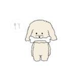 ●○トイプードル【よく使う言葉】○●（個別スタンプ：39）