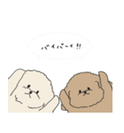 ●○トイプードル【よく使う言葉】○●（個別スタンプ：40）