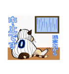 野球集団 レイバンス（個別スタンプ：37）