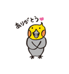 毎日ピーちゃん（個別スタンプ：1）