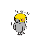 毎日ピーちゃん（個別スタンプ：22）