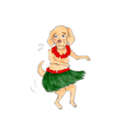 アロハ ワンダーちゃん（個別スタンプ：39）