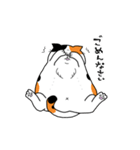 ぶちゃ猫スタンプ（個別スタンプ：20）