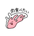 にちじょううさぎ（個別スタンプ：16）