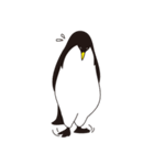 Hellow！ Mr. Penguin（個別スタンプ：13）