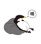 Hellow！ Mr. Penguin（個別スタンプ：19）