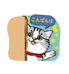 野良猫ニャン吉の日常会話スタンプVol.1（個別スタンプ：4）