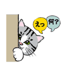 野良猫ニャン吉の日常会話スタンプVol.1（個別スタンプ：10）