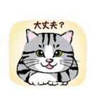 野良猫ニャン吉の日常会話スタンプVol.1（個別スタンプ：17）