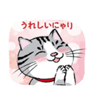 野良猫ニャン吉の日常会話スタンプVol.1（個別スタンプ：19）