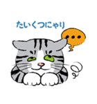 野良猫ニャン吉の日常会話スタンプVol.1（個別スタンプ：23）