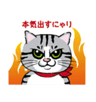 野良猫ニャン吉の日常会話スタンプVol.1（個別スタンプ：32）