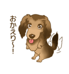 【僕の名前はロイ】でも犬なんだってさ（個別スタンプ：5）