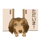 【僕の名前はロイ】でも犬なんだってさ（個別スタンプ：6）