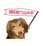 【僕の名前はロイ】でも犬なんだってさ（個別スタンプ：26）