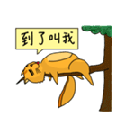 Lazy Squirrel: Lazy Life（個別スタンプ：25）