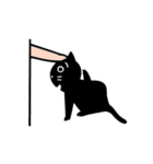 猫の黒塀（個別スタンプ：2）