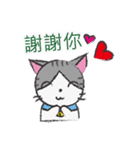 Gray tabby cat's daily（個別スタンプ：1）