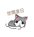 Gray tabby cat's daily（個別スタンプ：3）