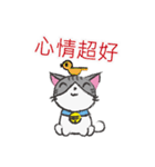 Gray tabby cat's daily（個別スタンプ：4）