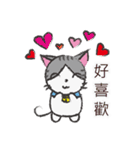 Gray tabby cat's daily（個別スタンプ：6）