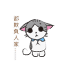 Gray tabby cat's daily（個別スタンプ：11）