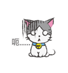 Gray tabby cat's daily（個別スタンプ：12）