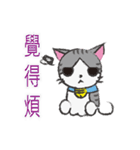 Gray tabby cat's daily（個別スタンプ：13）