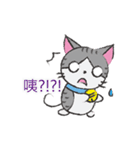 Gray tabby cat's daily（個別スタンプ：14）