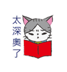 Gray tabby cat's daily（個別スタンプ：16）