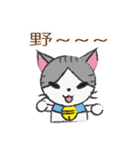 Gray tabby cat's daily（個別スタンプ：20）