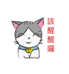 Gray tabby cat's daily（個別スタンプ：22）