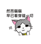 Gray tabby cat's daily（個別スタンプ：24）