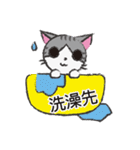 Gray tabby cat's daily（個別スタンプ：27）