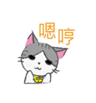 Gray tabby cat's daily（個別スタンプ：34）