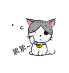 Gray tabby cat's daily（個別スタンプ：40）