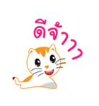 My name is Little cat（個別スタンプ：1）