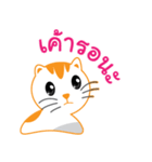 My name is Little cat（個別スタンプ：2）