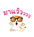 My name is Little cat（個別スタンプ：6）