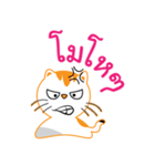 My name is Little cat（個別スタンプ：14）