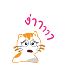 My name is Little cat（個別スタンプ：16）