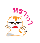 My name is Little cat（個別スタンプ：20）