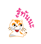 My name is Little cat（個別スタンプ：22）