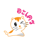 My name is Little cat（個別スタンプ：27）