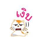 My name is Little cat（個別スタンプ：36）