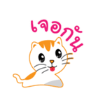 My name is Little cat（個別スタンプ：40）