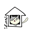 ムギ猫（個別スタンプ：6）